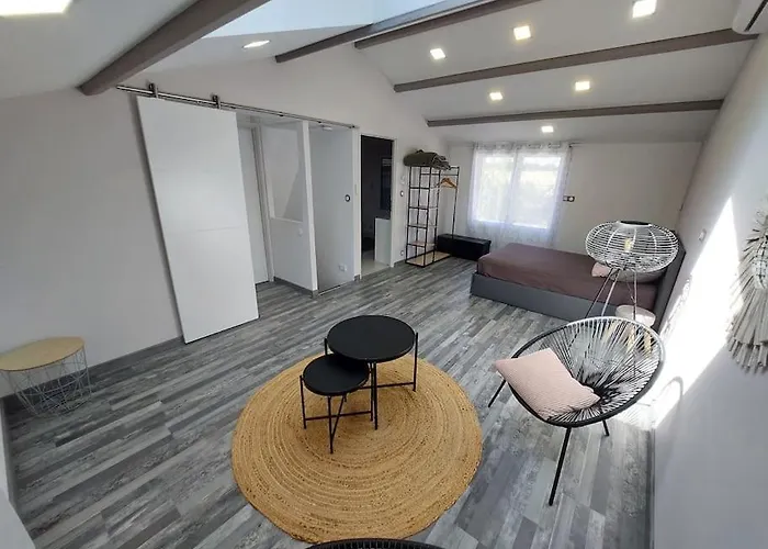 O Pallinois Proche Futuroscope De Poitiers Vakantiehuis *